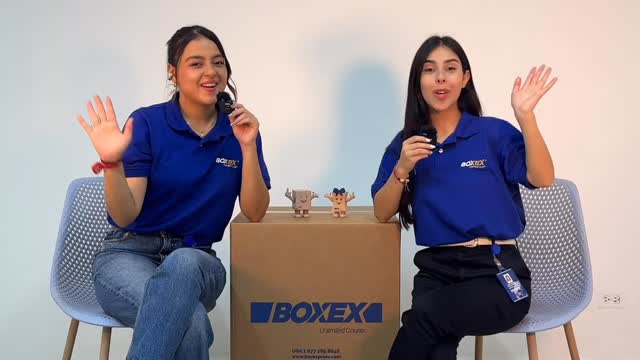 BoxEx - Unlimited Courier - Con BoxExpress es más fácil realizar tu ...