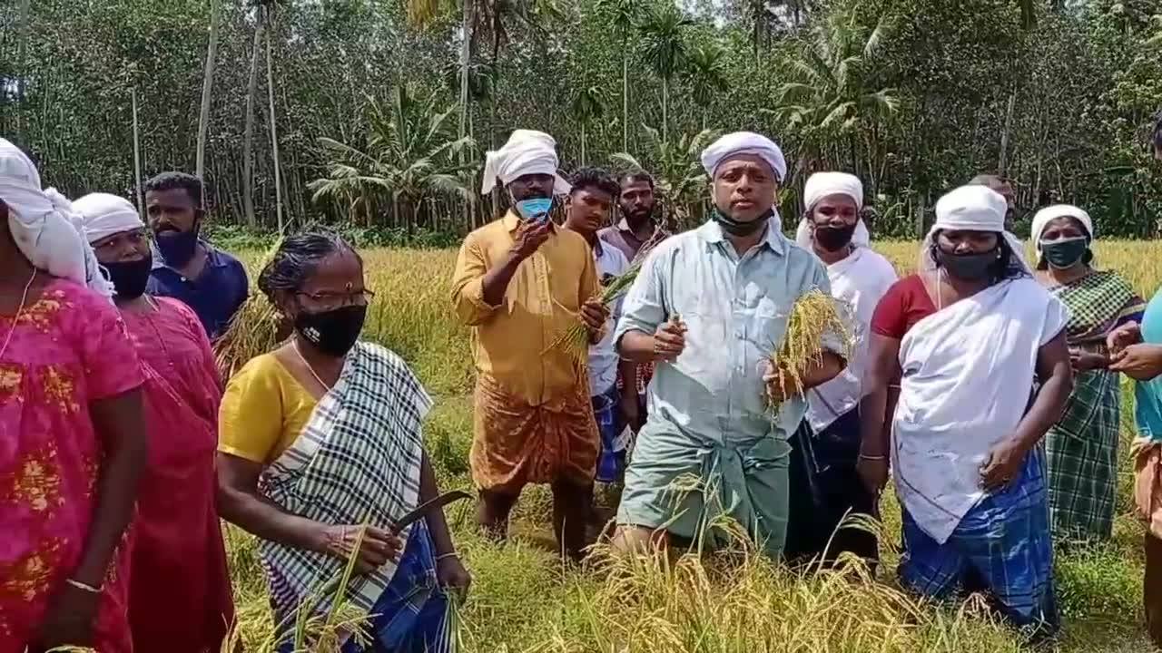 Punnala Sreekumar