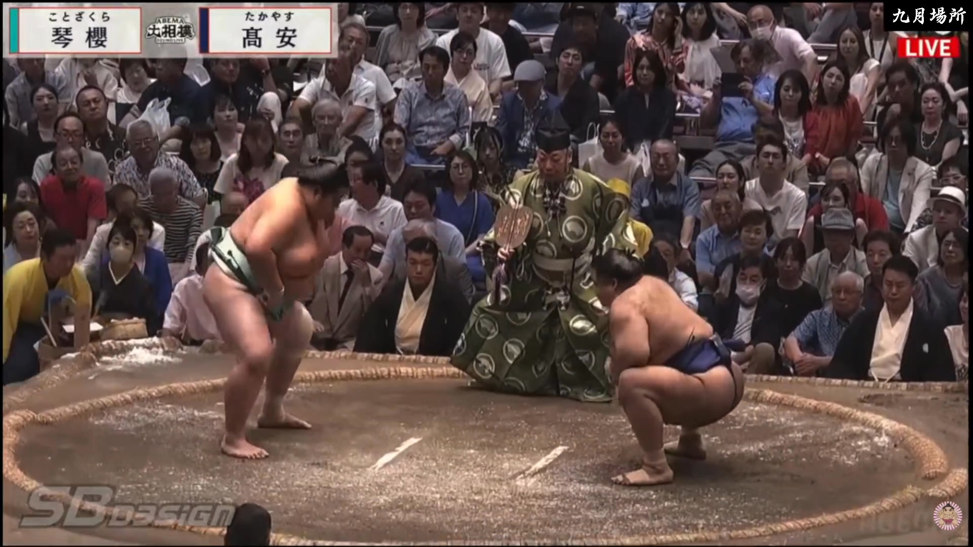 Onosato 大の里 4-0 vs Tamawashi 玉鷲 2-2 Please support my work 