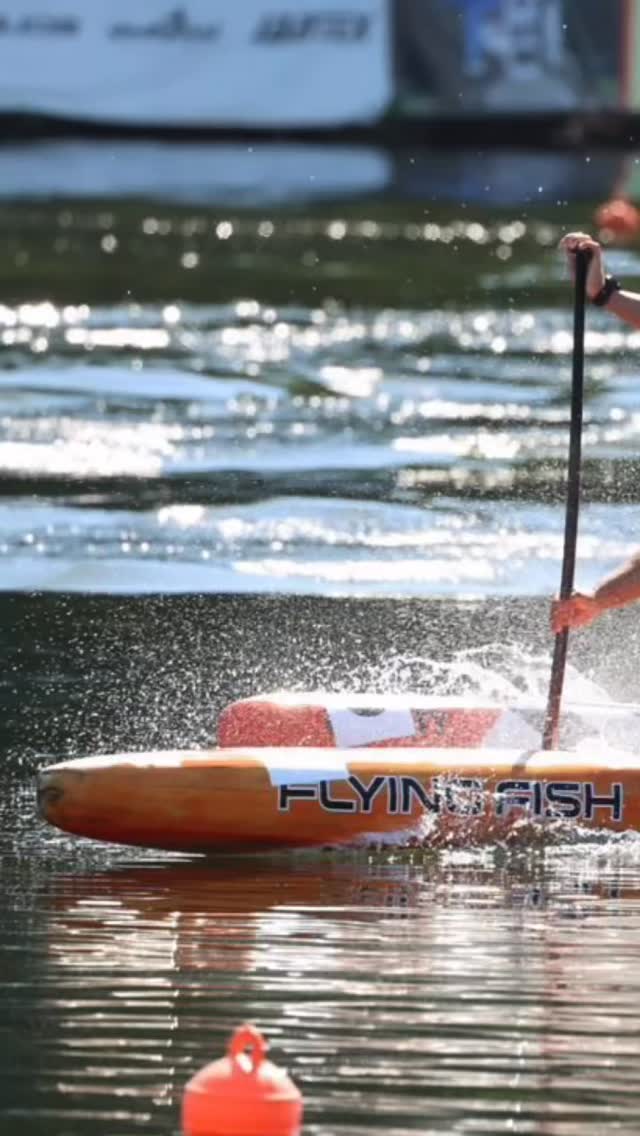 Flying Fish Board Co | Stuart FL