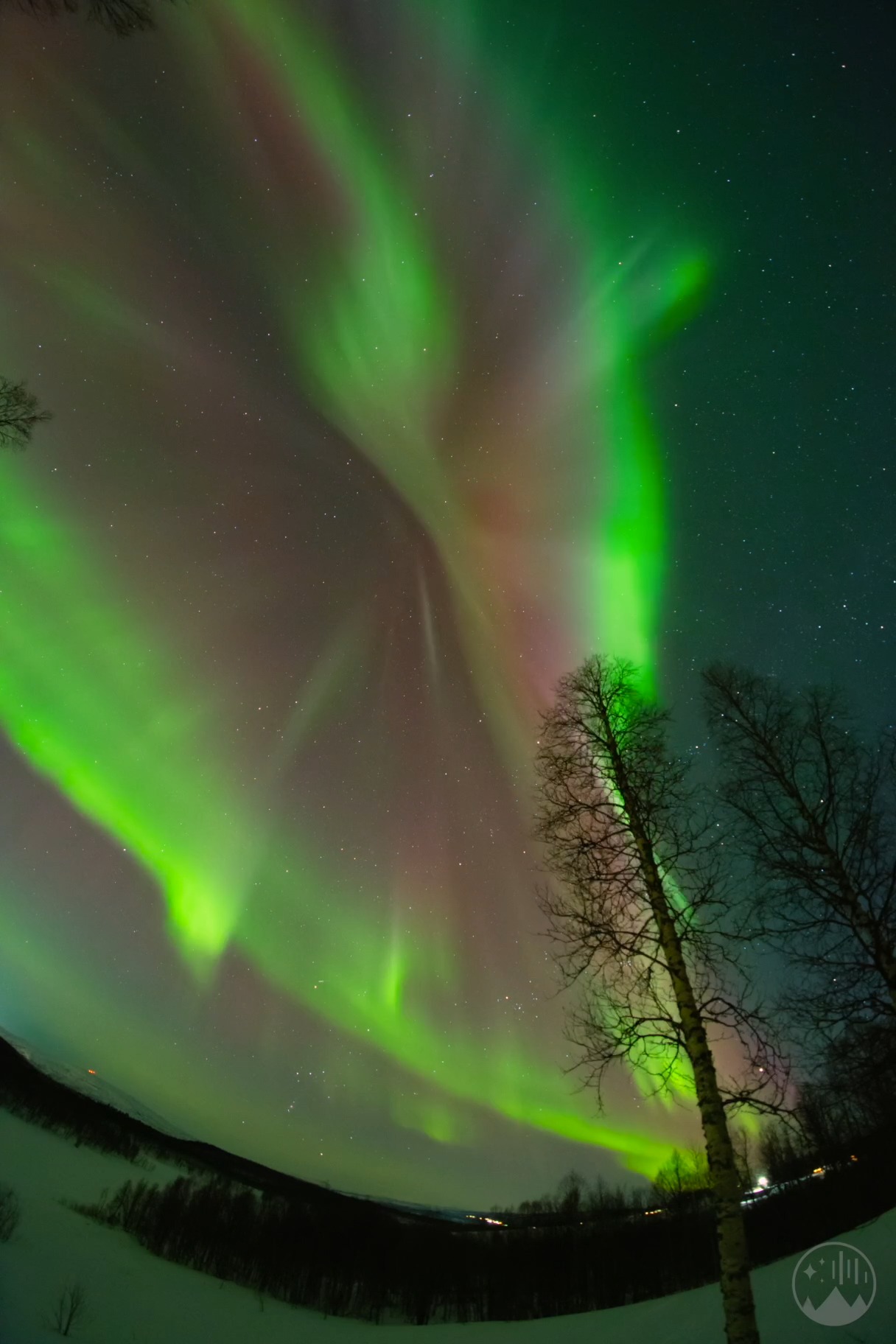 Incredible aurora dance right above us 😳 | Night Lights Films