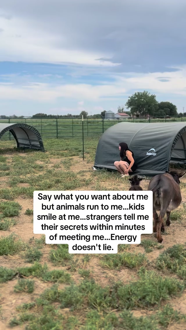 Lazy Days Ranch on Reels | Facebook
