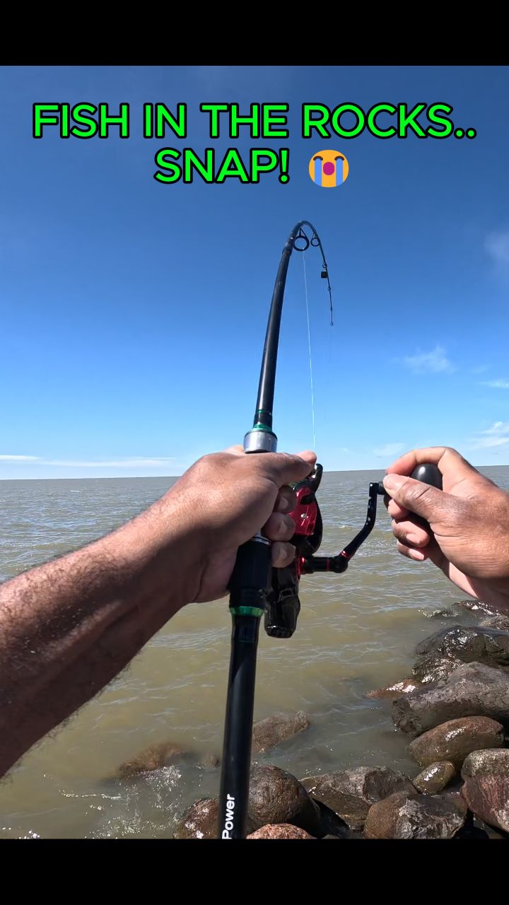 1 rod 1 reel fishing snapchat Free w/ Redline Pro Series 28