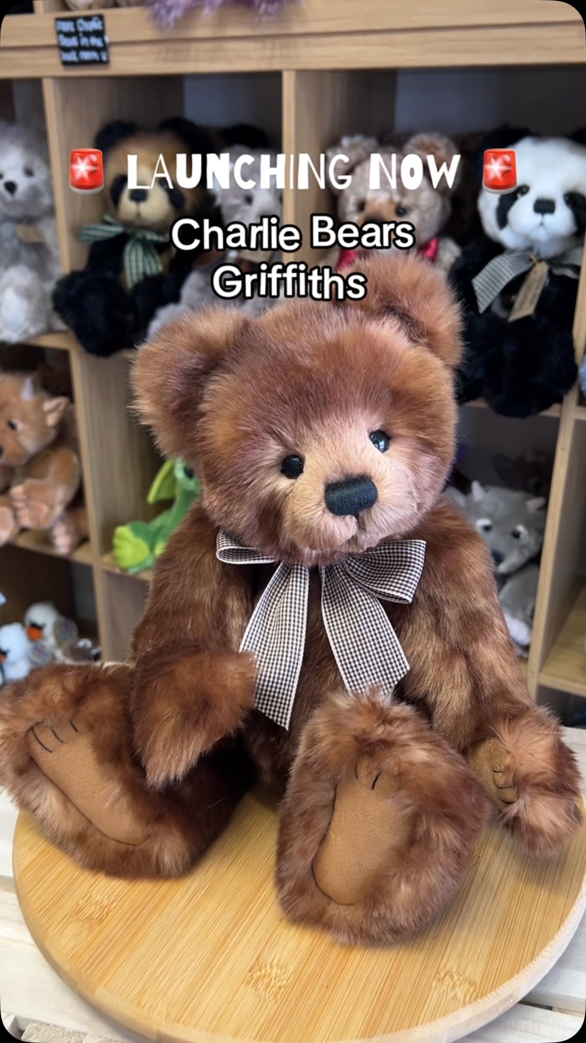 Check out this video and meet this gorgeous bear that has been