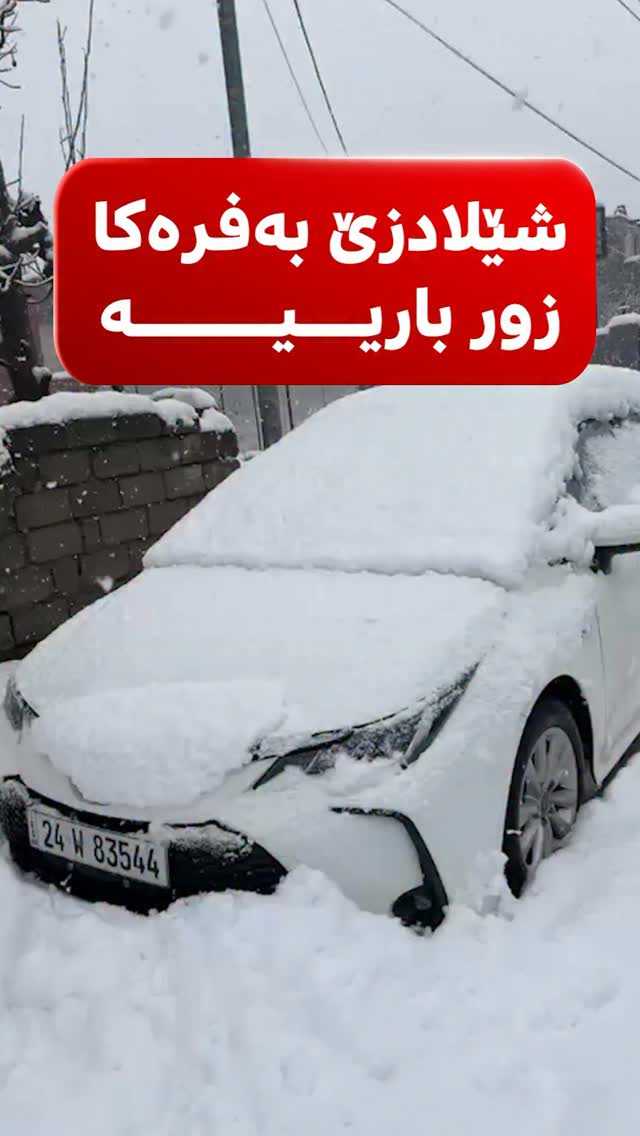 شێلادزێ شڤێدی تا ئەڤروو بەفربارین بەردەوامە و رێژەکا زور یا بەفرێ باریە ...