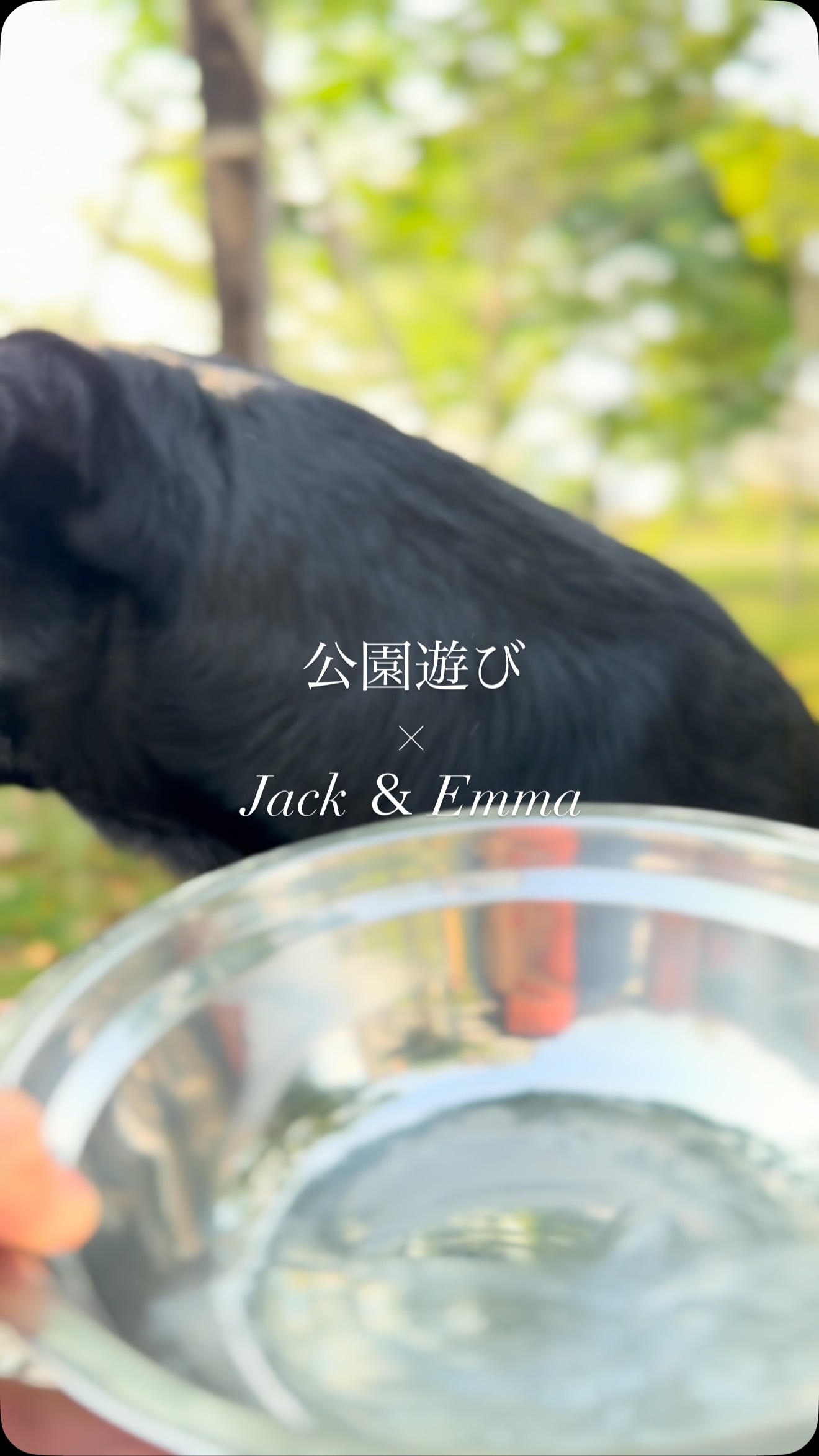 Shimazu Kenichi (@Shimaken092) • Facebook