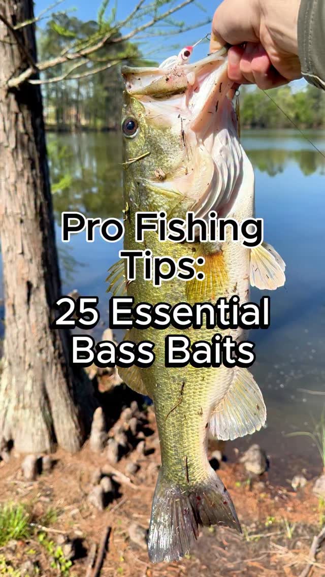 eagle claw bill fish hooks Billfish Bulk – Fisho's Tackle World Two Hook Bait Rig An expanded gap accommodates Reel Model:STEEZSVTW1016SV-SHL Line & Leader2768