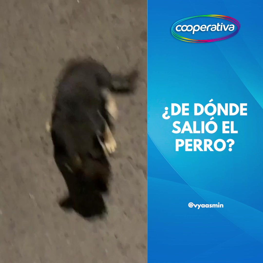 ¿Un error en la matrix? 😮 Una usuaria de TikTok compartió un video que ...