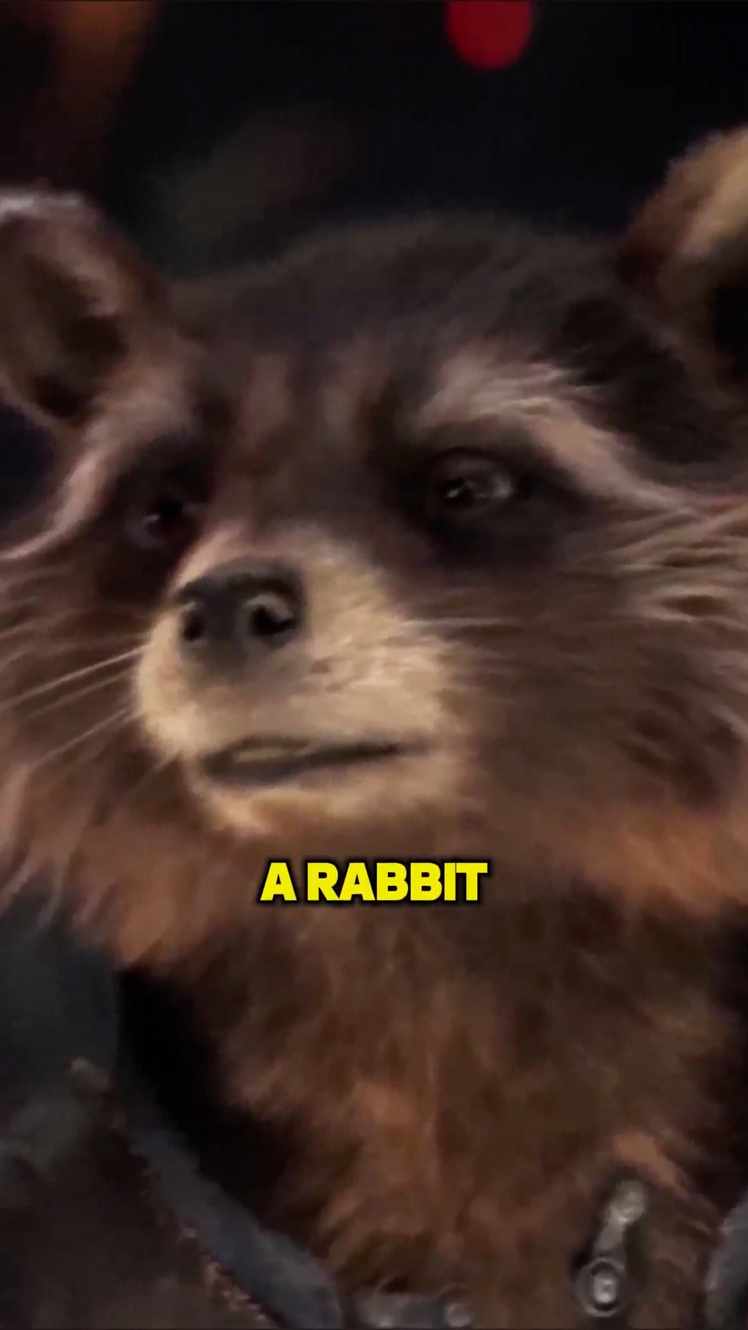 Rocket is an Asgardian Rabbit? #marvel #mcu | RJ Insight | Facebook