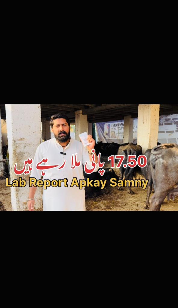 دودھ مے 17% پانی ملا رہے ہیں،پھر بھی ناخوش ہو،برکت اِسی لیہ نہیں آرہی ...