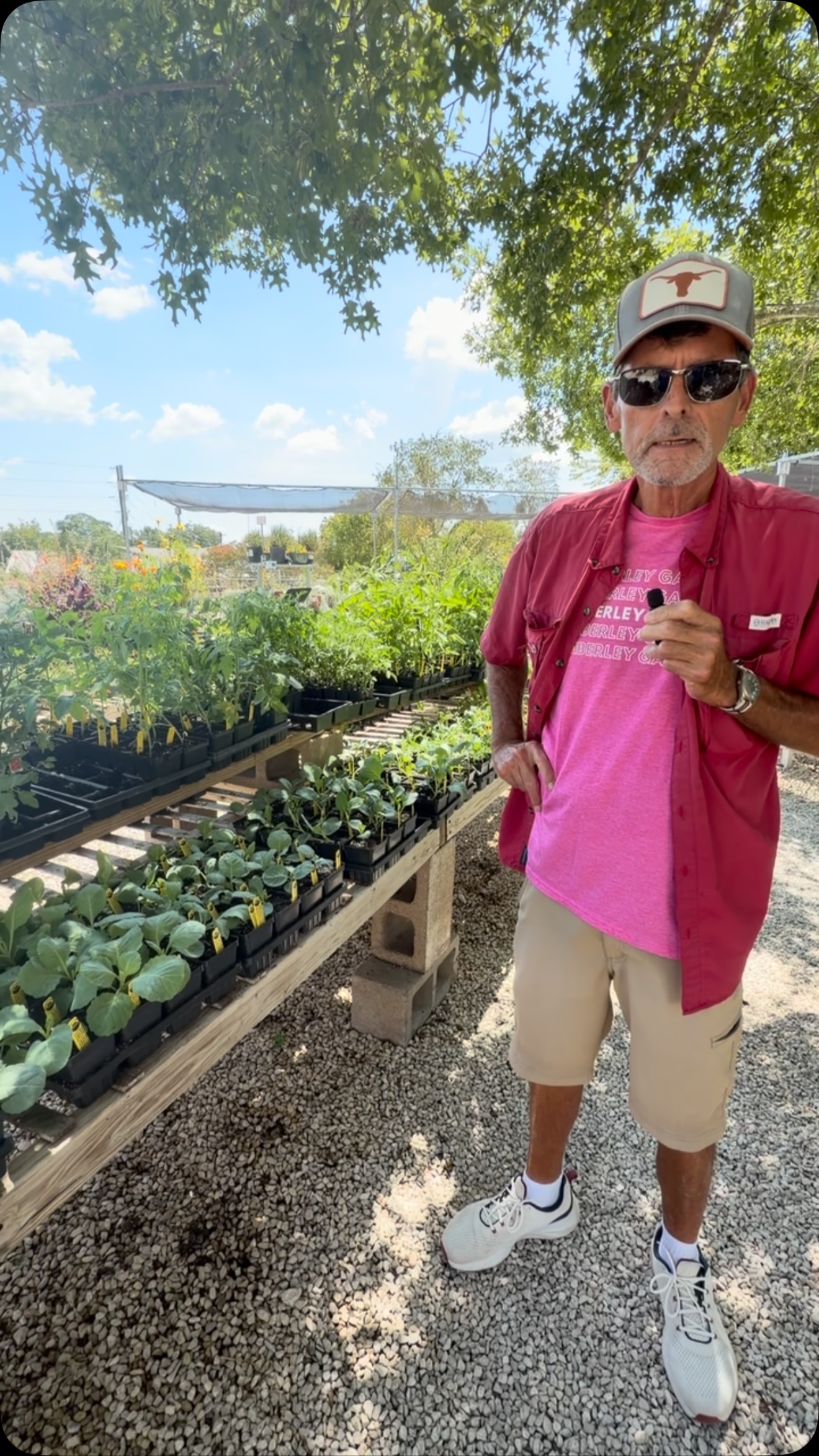 Wimberley Gardens | Wimberley TX