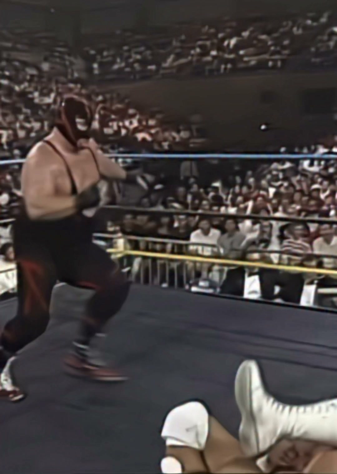 WCW legends Sid Vicious and Big Van Vader