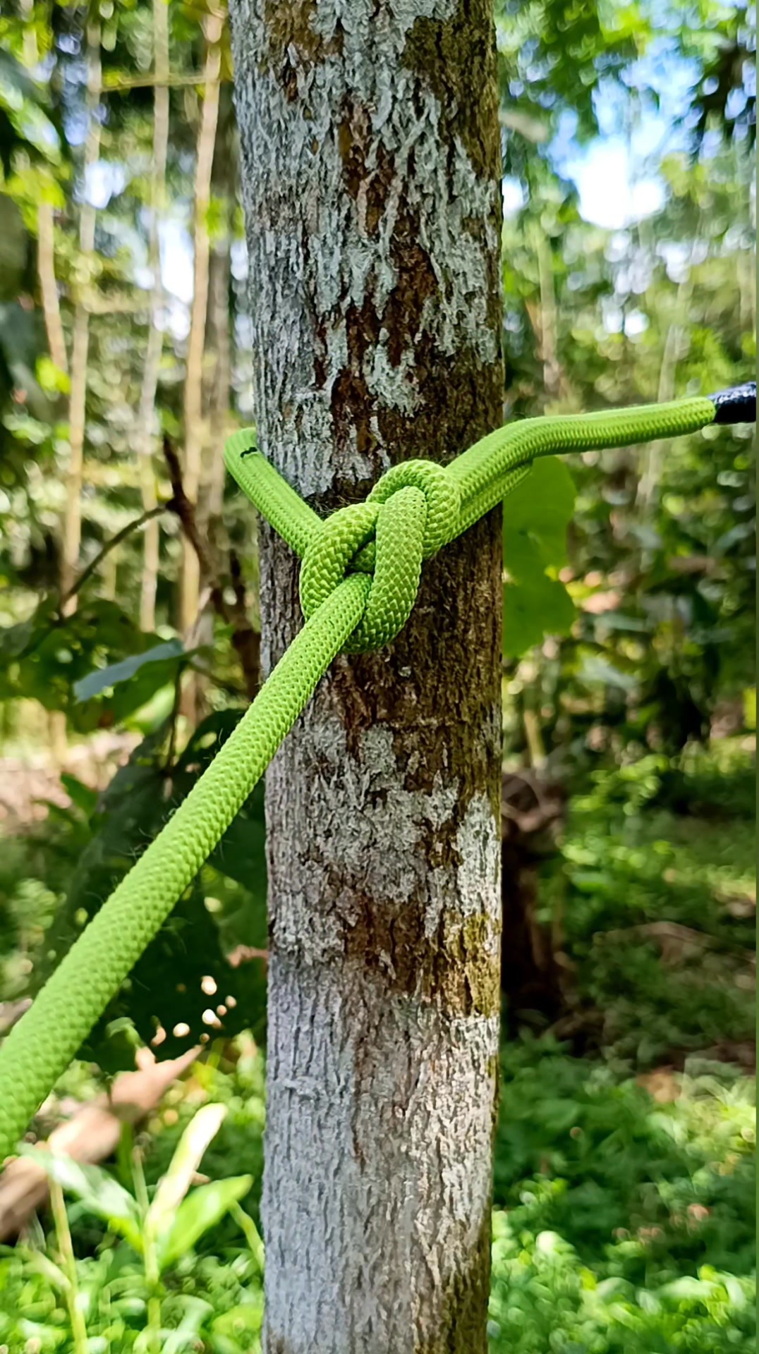 The World's Most Famous Knot! Everyone Should Know How to Tie It! # ...