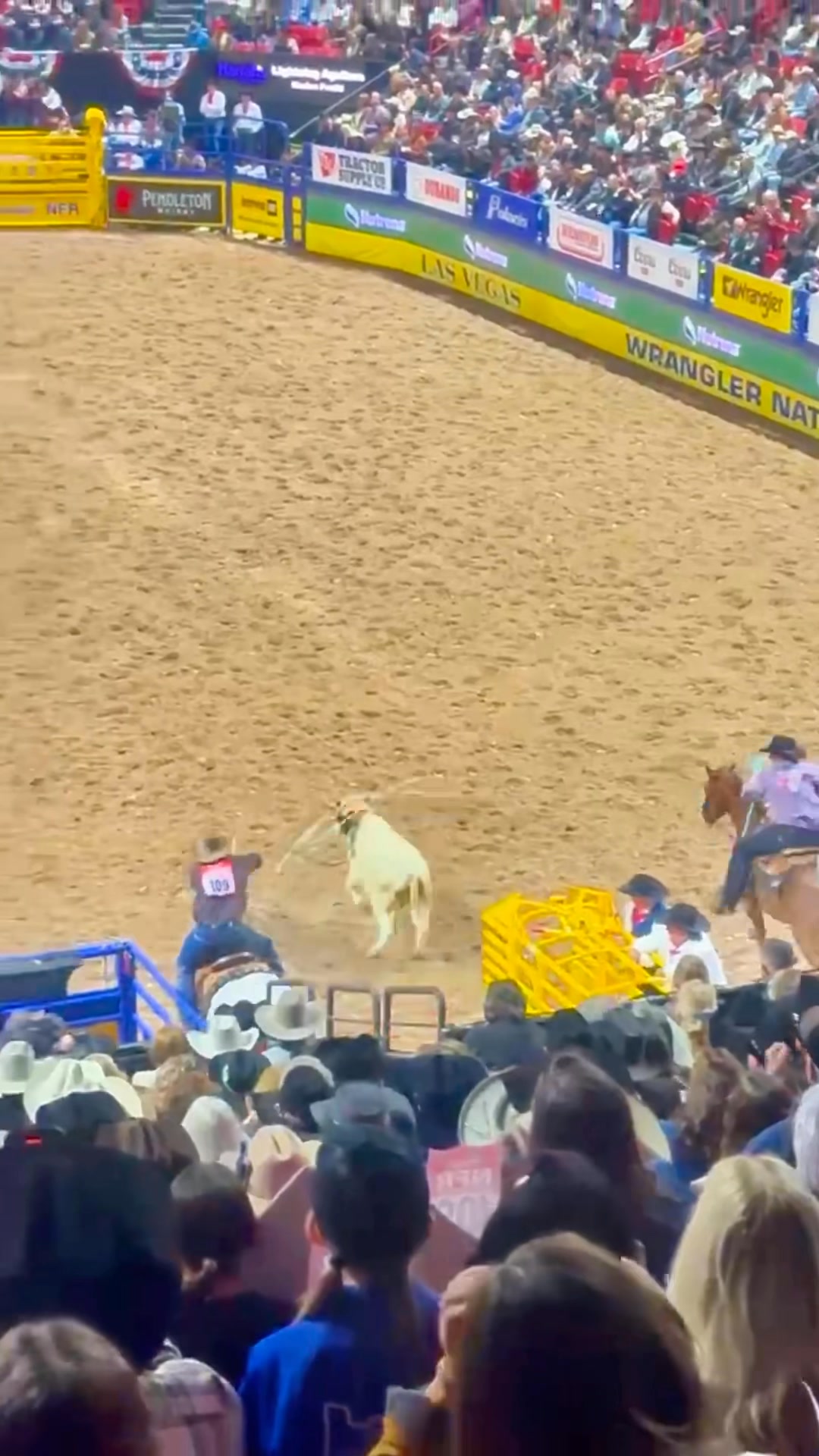 2025 National Finals Rodeo Team Roping - Rnd 1 1️⃣st: Lightning ...