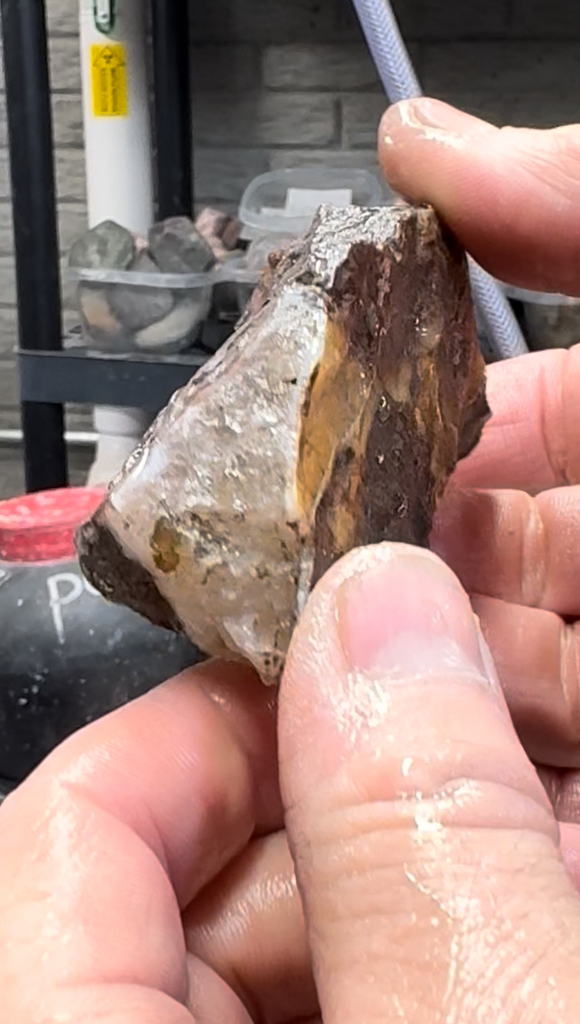 Swap with Just-Jess from #Idaho #rocks #fossils #stones #opal ...