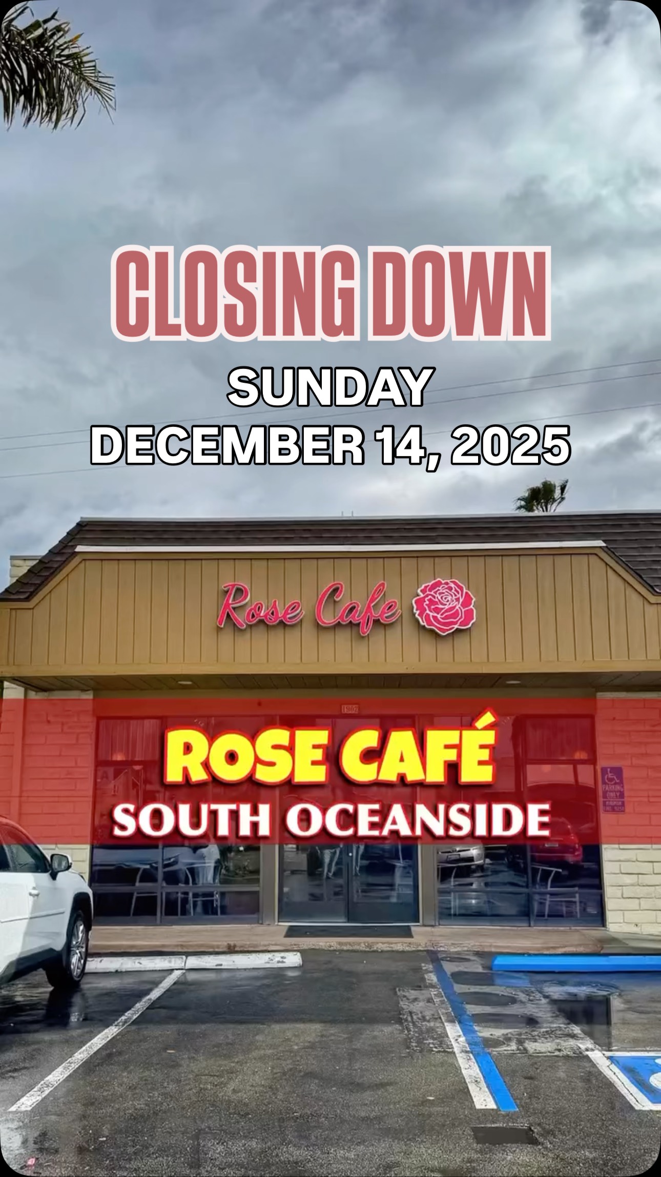 HAVE YOU BEEN HERE YET ⤵️ ROSE CAFÉ opened right across the