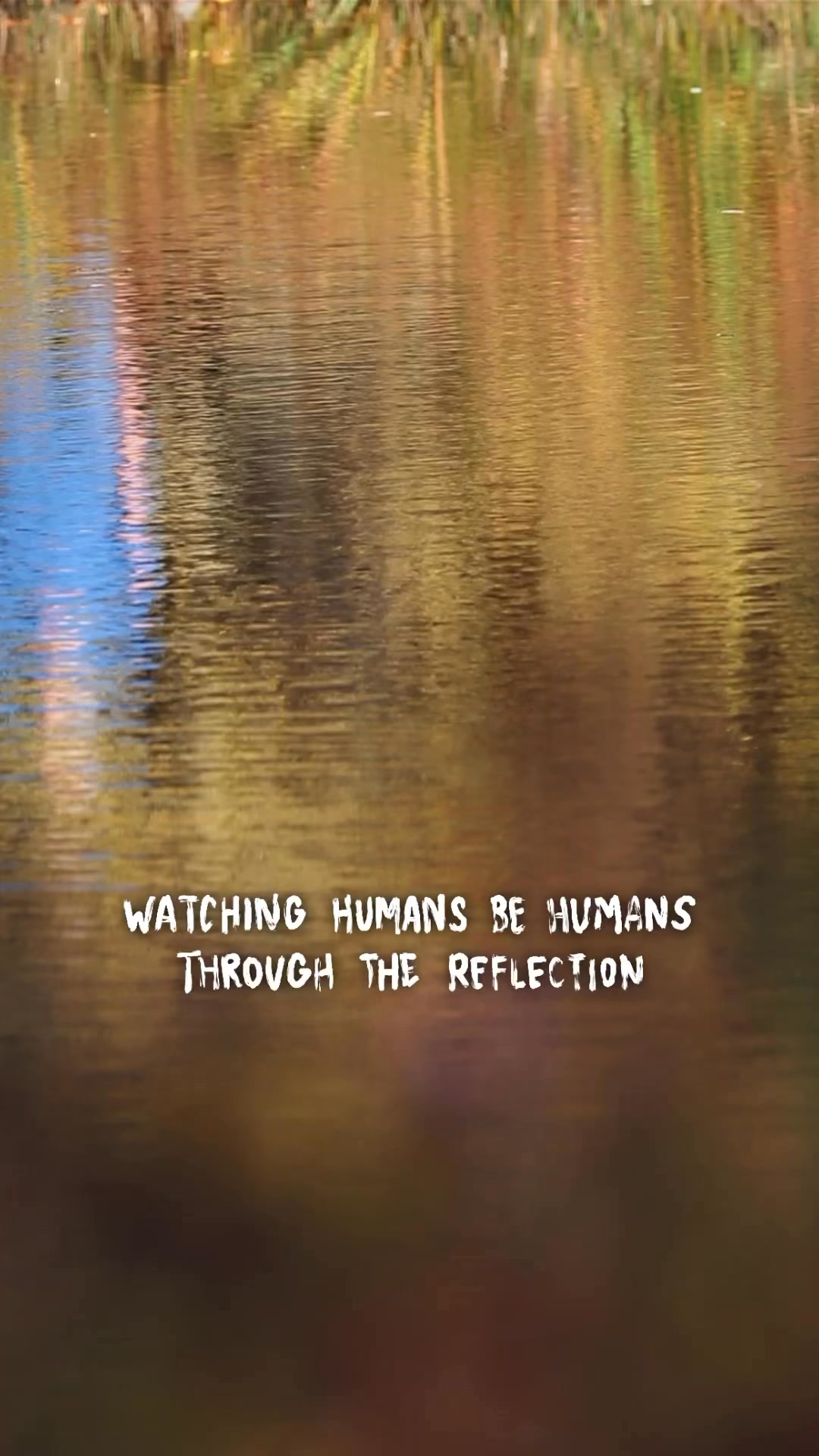 Watching humans be humans, through the rippled reflection on the water ...