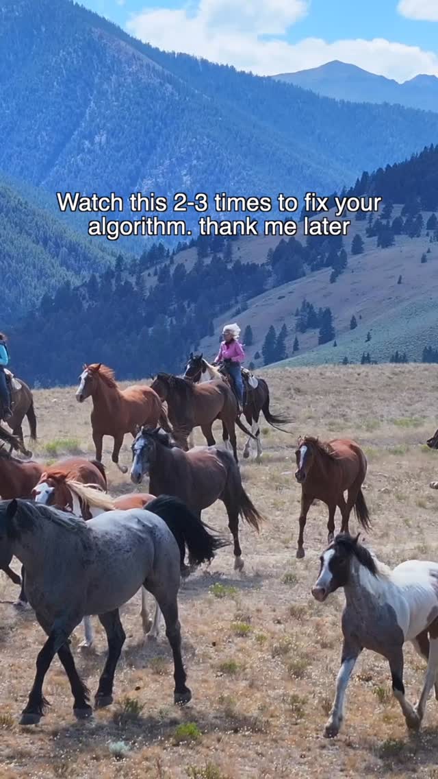 Start the New Year off right. Cleanse your feed with some horse therapy ...