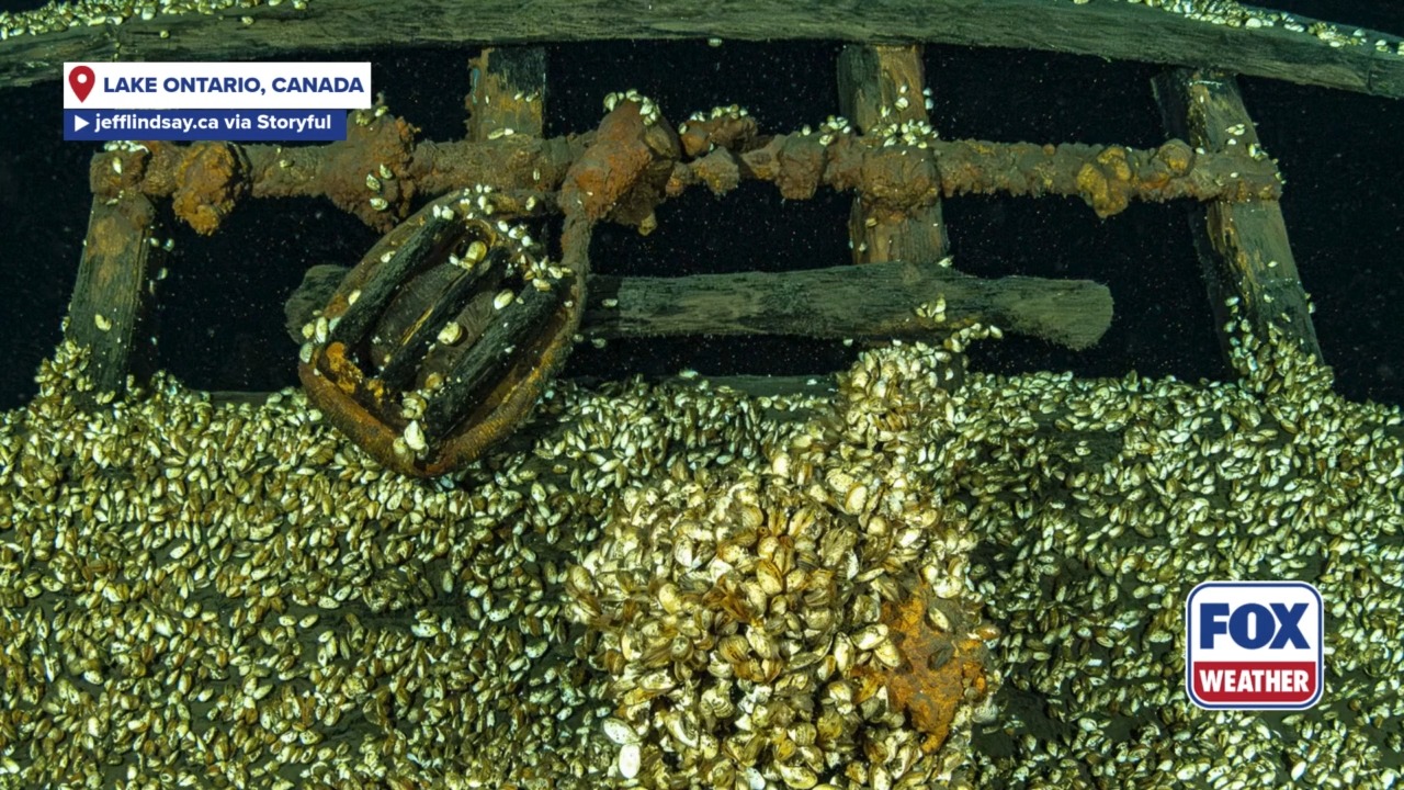 RARE DISCOVERY: Canadian divers find a possible 200-year old shipwreck ...