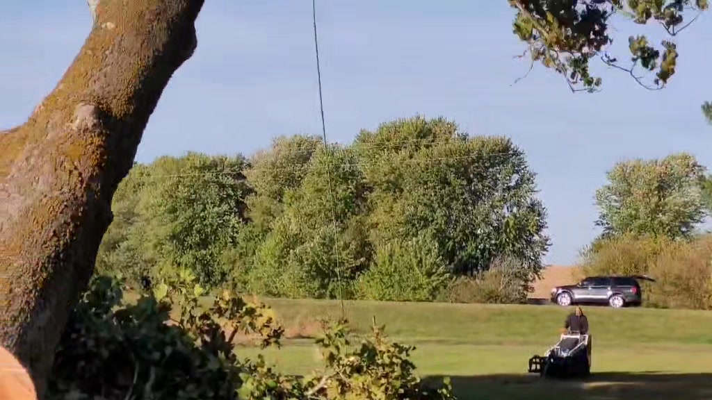 2nd video the homeowner took while the Sycamore was being dropped also ...