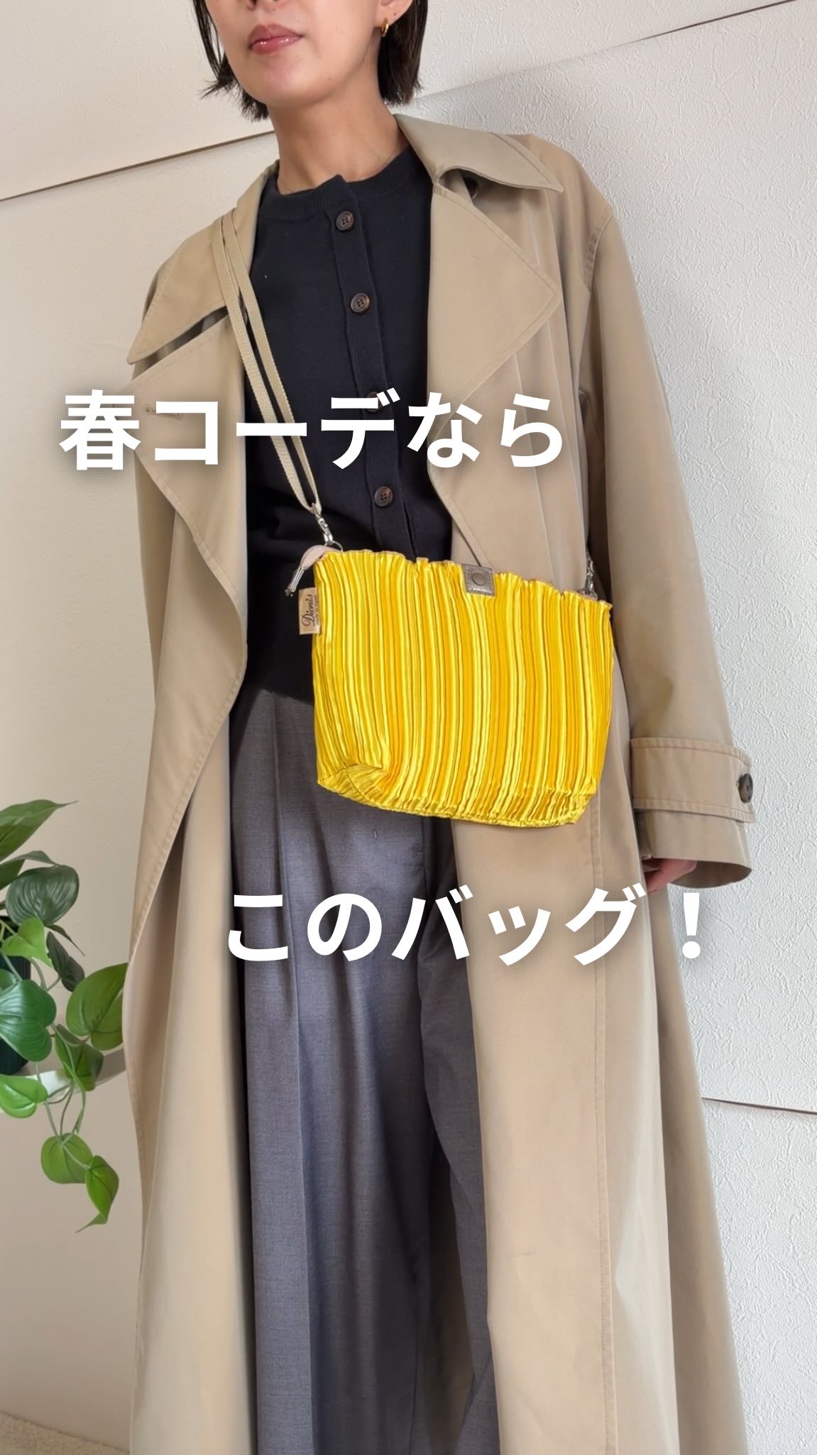 Dionis (@dionis.pleats.bag) • Facebook