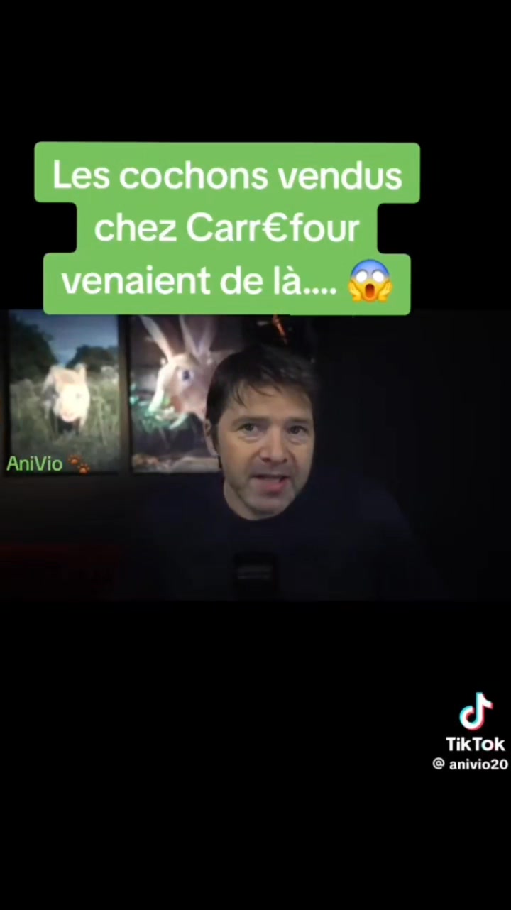 🇫🇷🐖 QUALITÉS CARREFOUR ? Les élevages insalubres du président de la ...