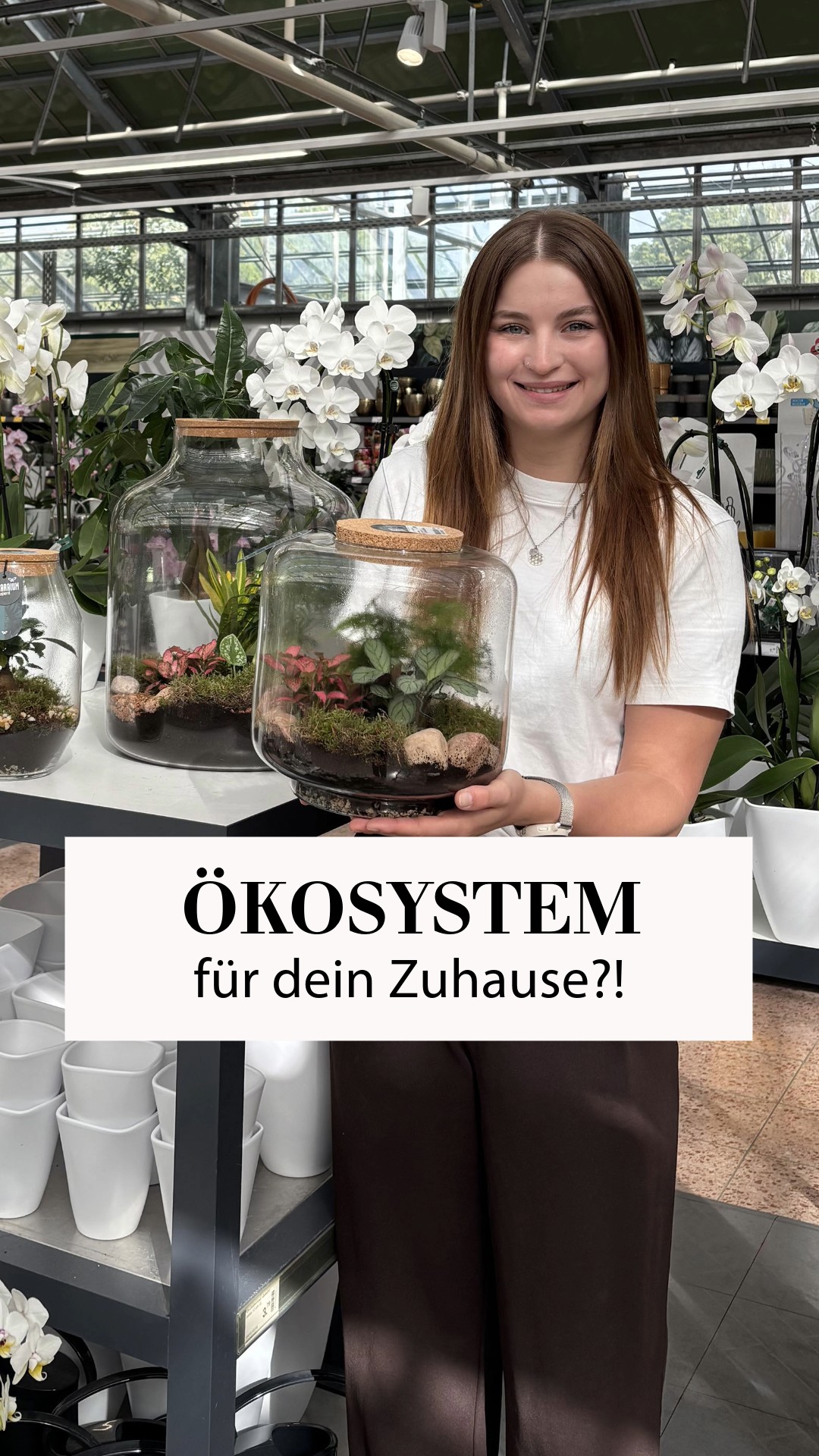 🌿✨ Ein kleines Ökosystem für dein Zuhause, Unsere neuen Flaschengärten sind echte Hingucker und dabei überraschend pflegeleicht. 💚, Ob neue Glasformen, kreative Bepflanzungen oder beeindruckende