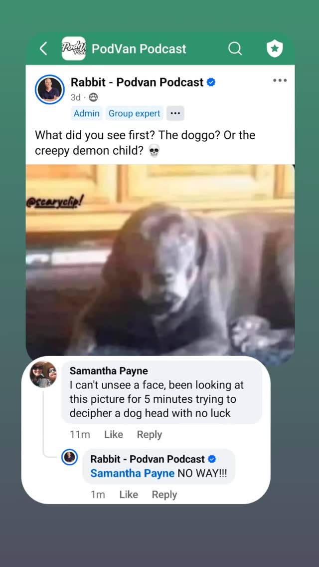 I am shocked by this! How can people not see the dog?? | Rabbit ...