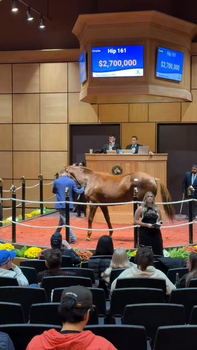 SUMMER SWEET sells for $3,000,000 at The November Sale! Summer Sweet is ...