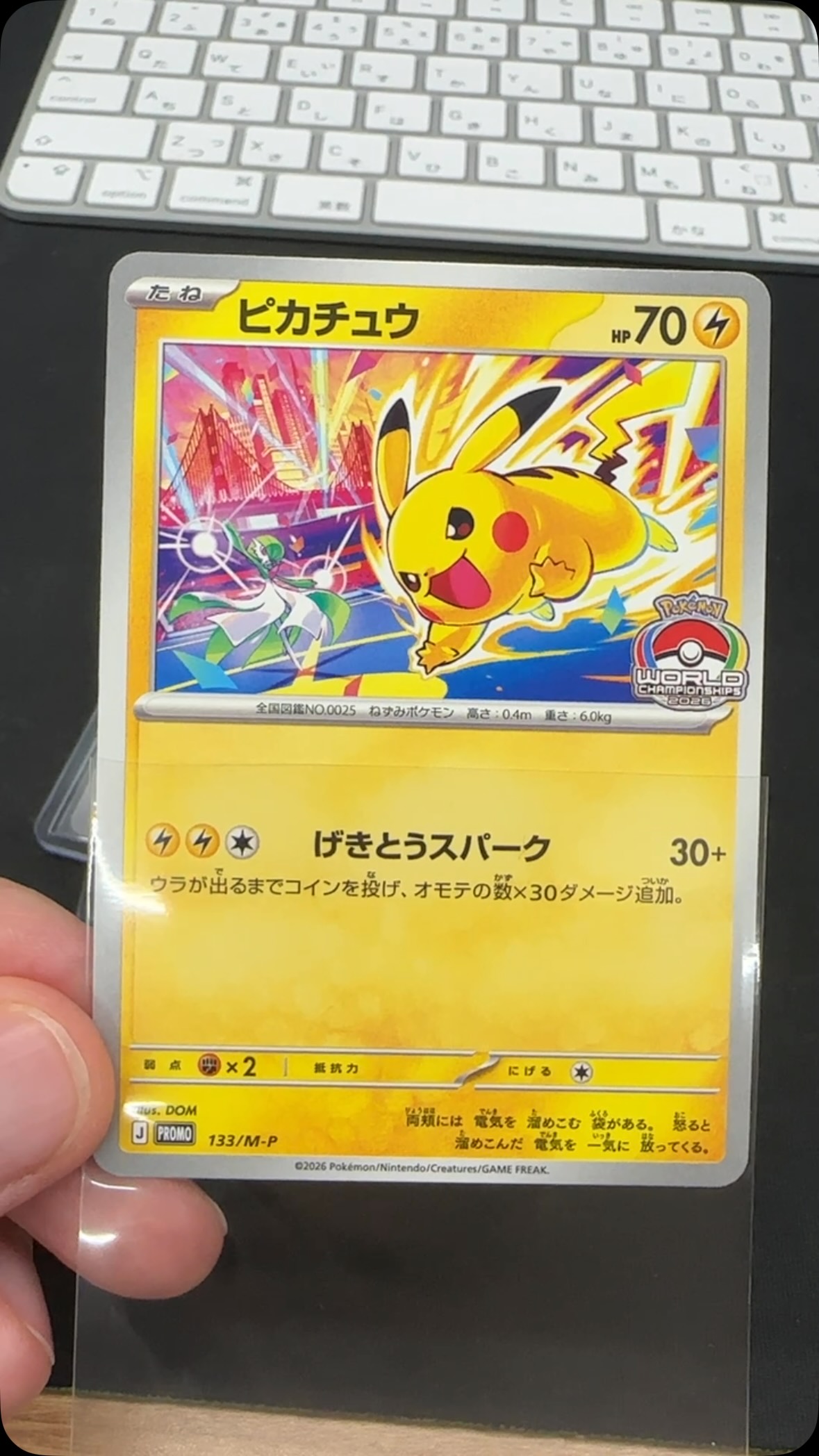 Pikachu | CARDOTAKU