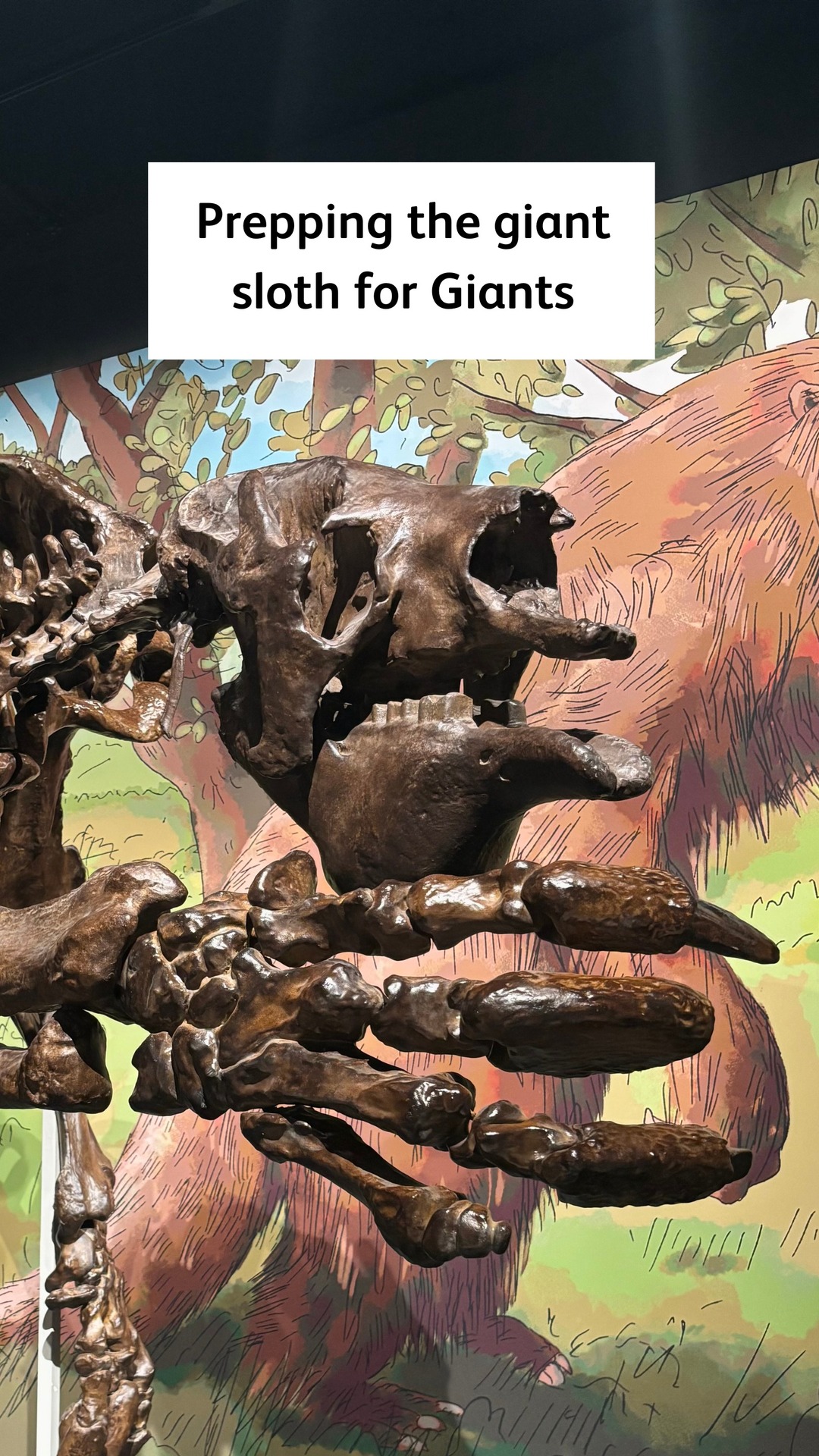It's time to meet the GIANTS 🦥 Our new Giants exhibition is open, and ...