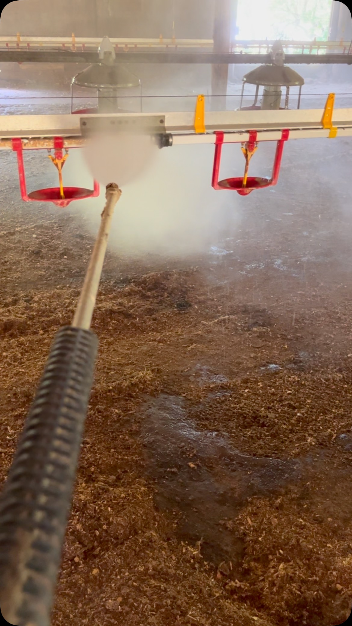 Washing barns today! We wash our barns after every flock. This time of ...