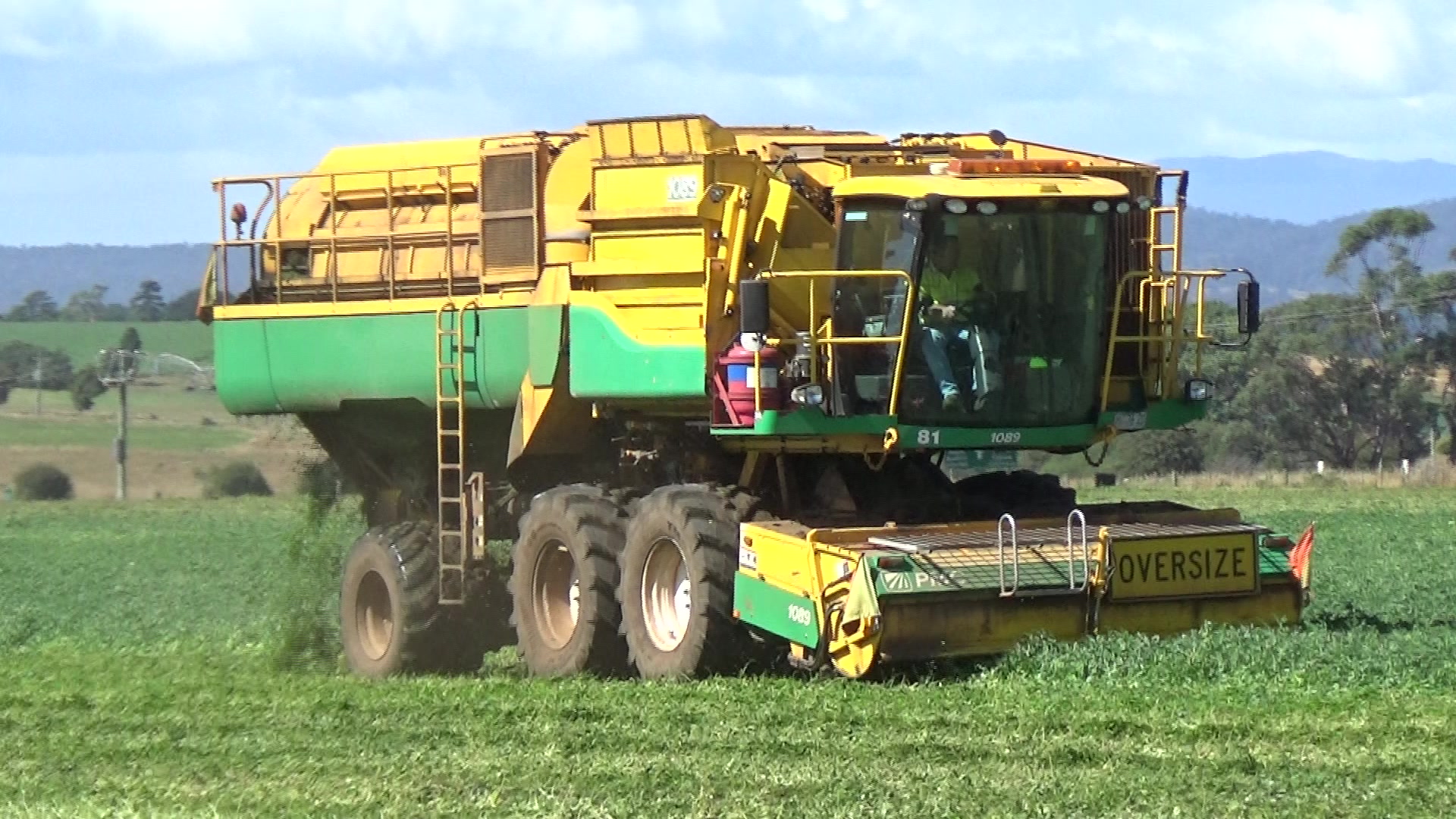 Another clip of green (vining) peas being harvested, at 