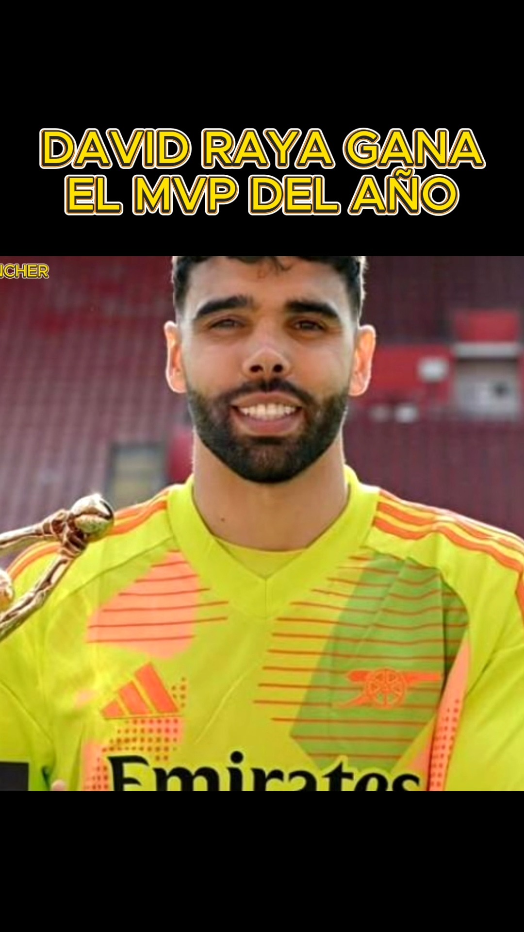 davidraya #RAYA #Arsenal #Gunners #mvp #Premierleague #record