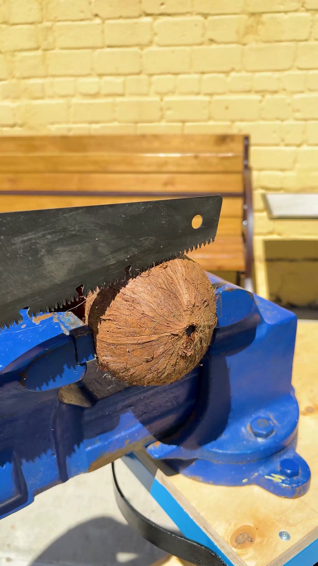 I Can't Believe This Started as a Coconut 🥥😳 | Panda Curioso