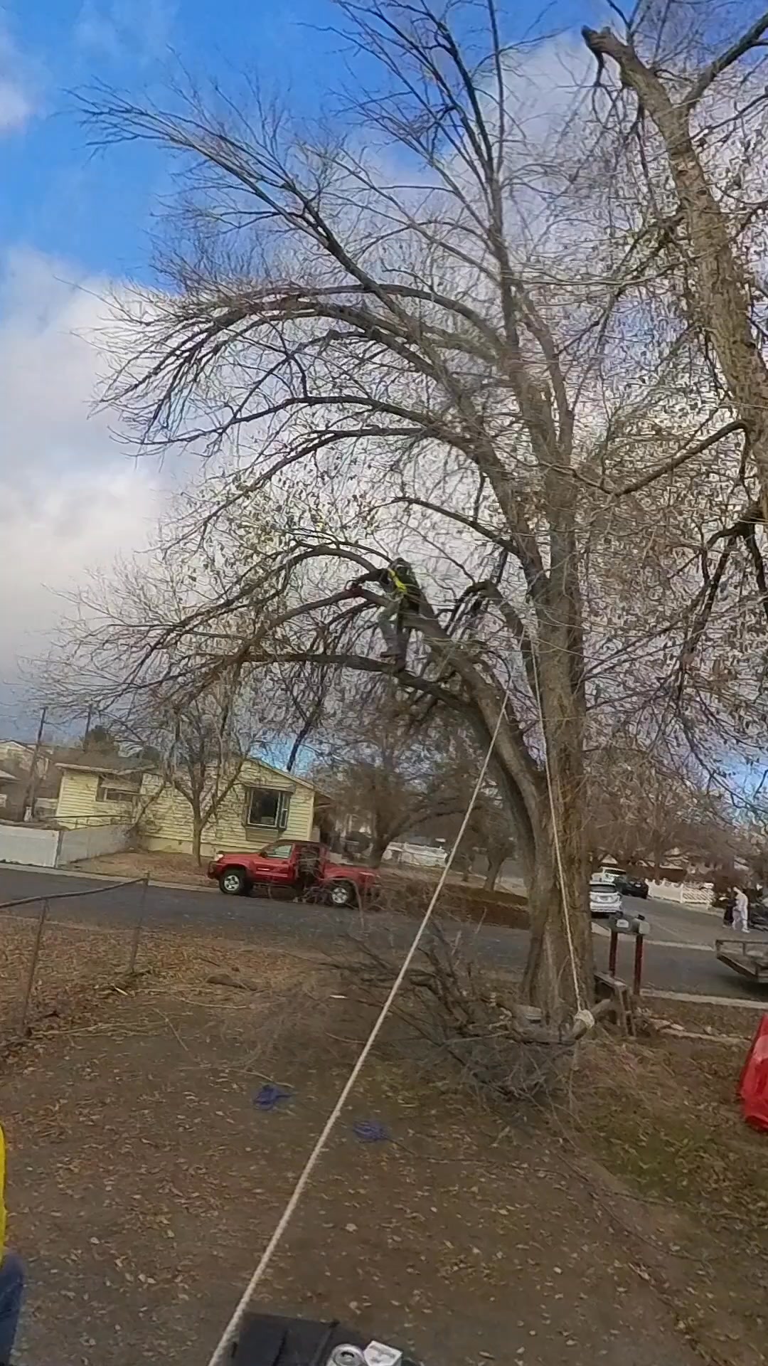 Every cut gets us closer | Patterson Tree Service | Facebook