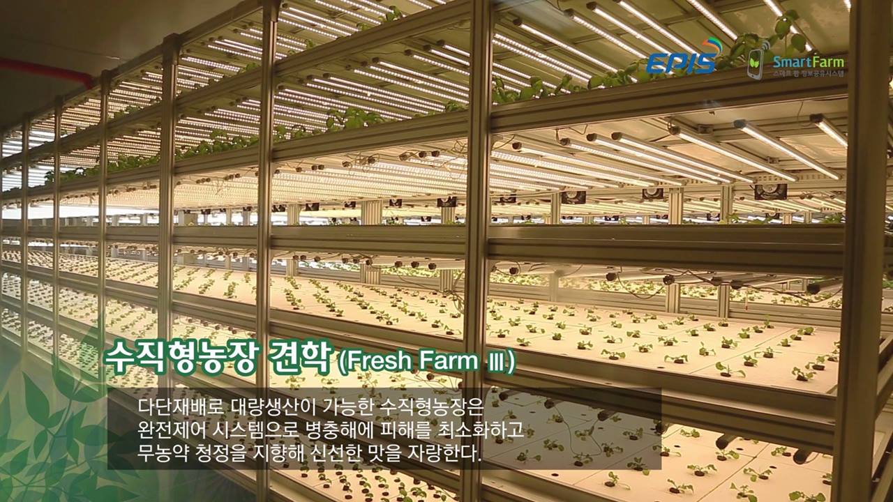 [현장체험] 1024 수직형 농장 | 미래의 새로운 농업으로 각광받고 있는 ‘수직형 농장’ 🍃🌿 경기도 고양고등학교 학생들과 ...