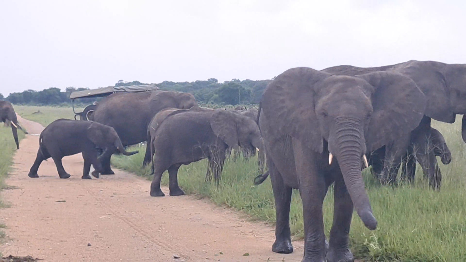 King Mayeso Trymore Wildlife photographs on Reels | Facebook
