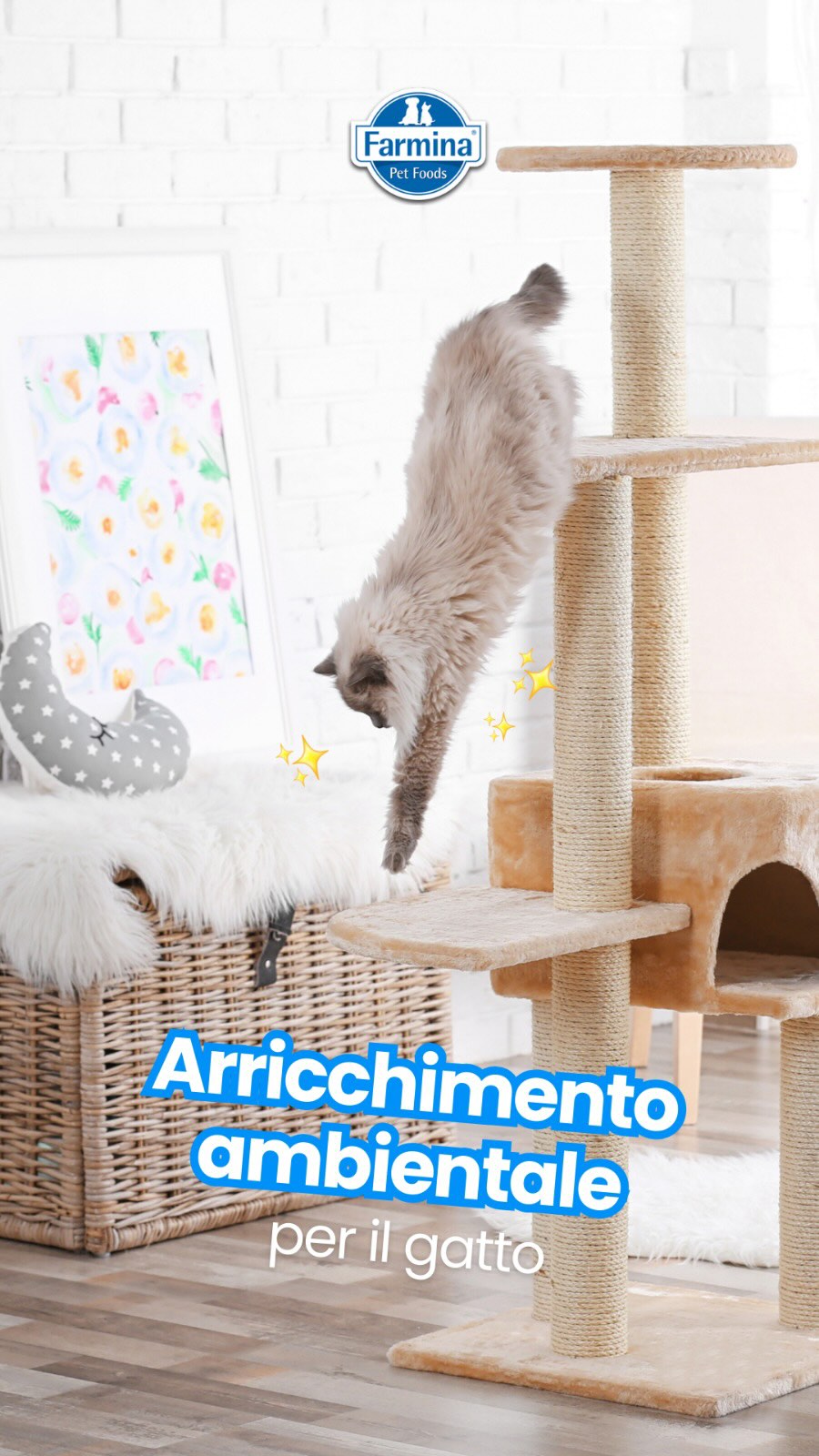 😻 Lo sapevi? Un gatto stimolato è un gatto felice! Giochi, tiragraffi e ...