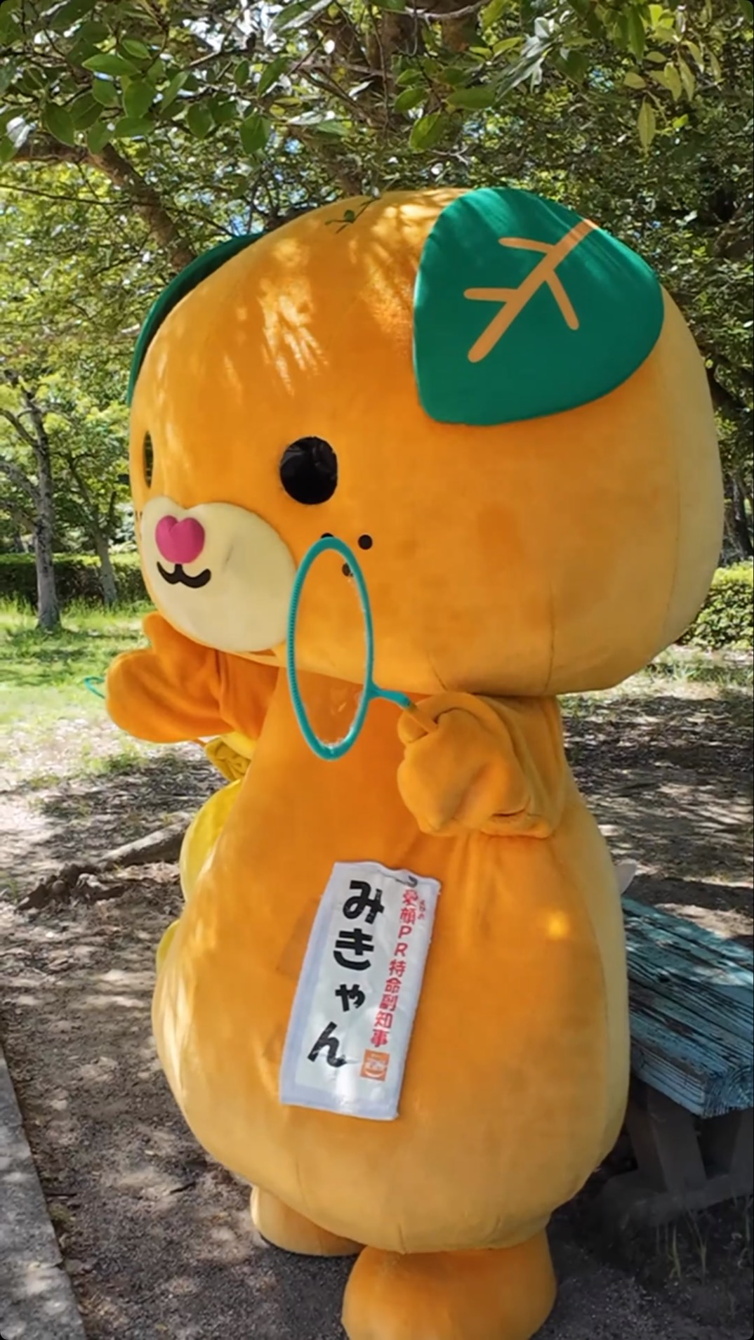 みきゃん/// みきゃんのかんづめ | Matsuyama Ehime