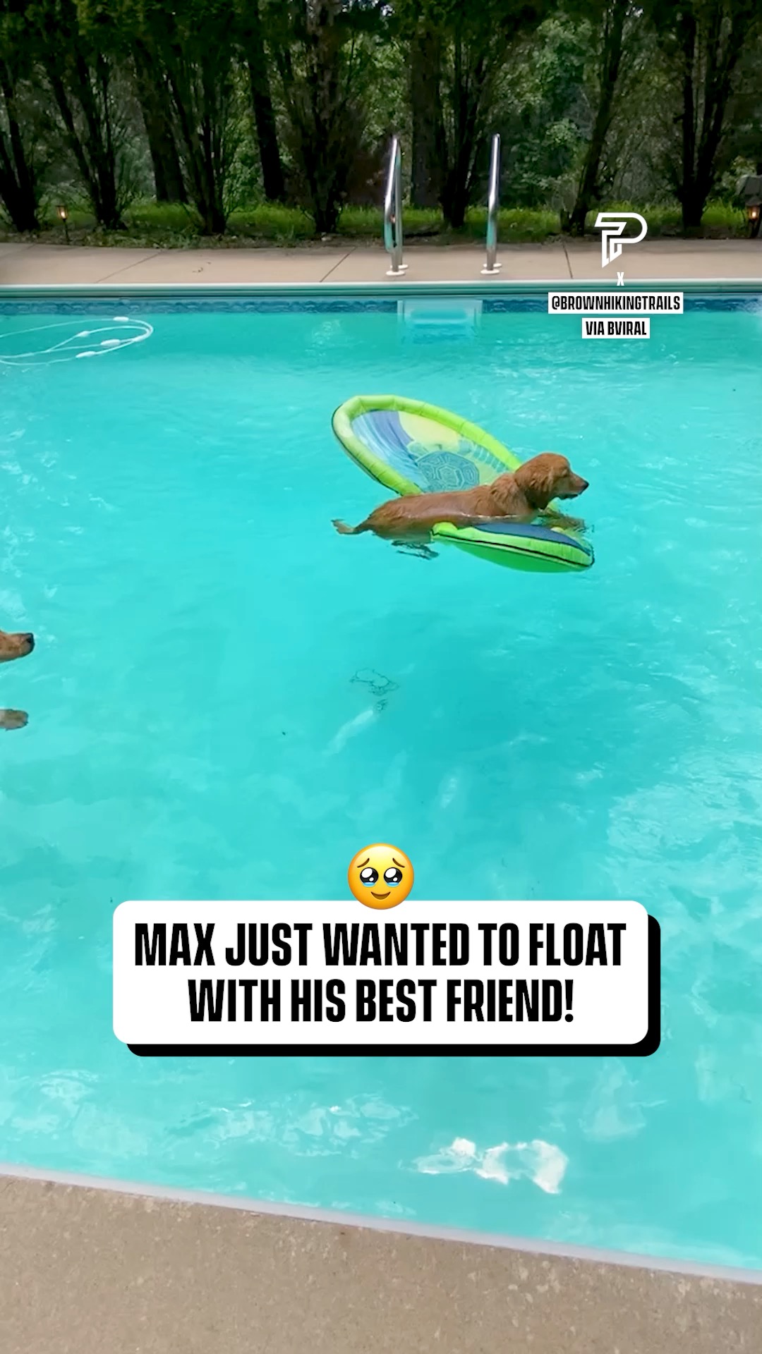 Pool day with the bestie 🐶🛟 | Pubity | Facebook