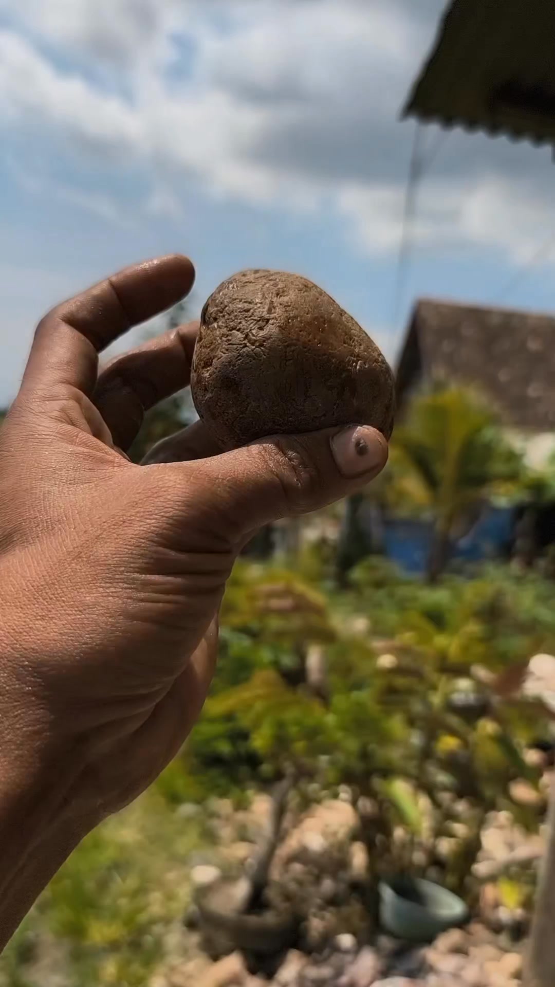 Belah potensi batu bulat dari sungai #gemstone | Dedi Permanto | Facebook