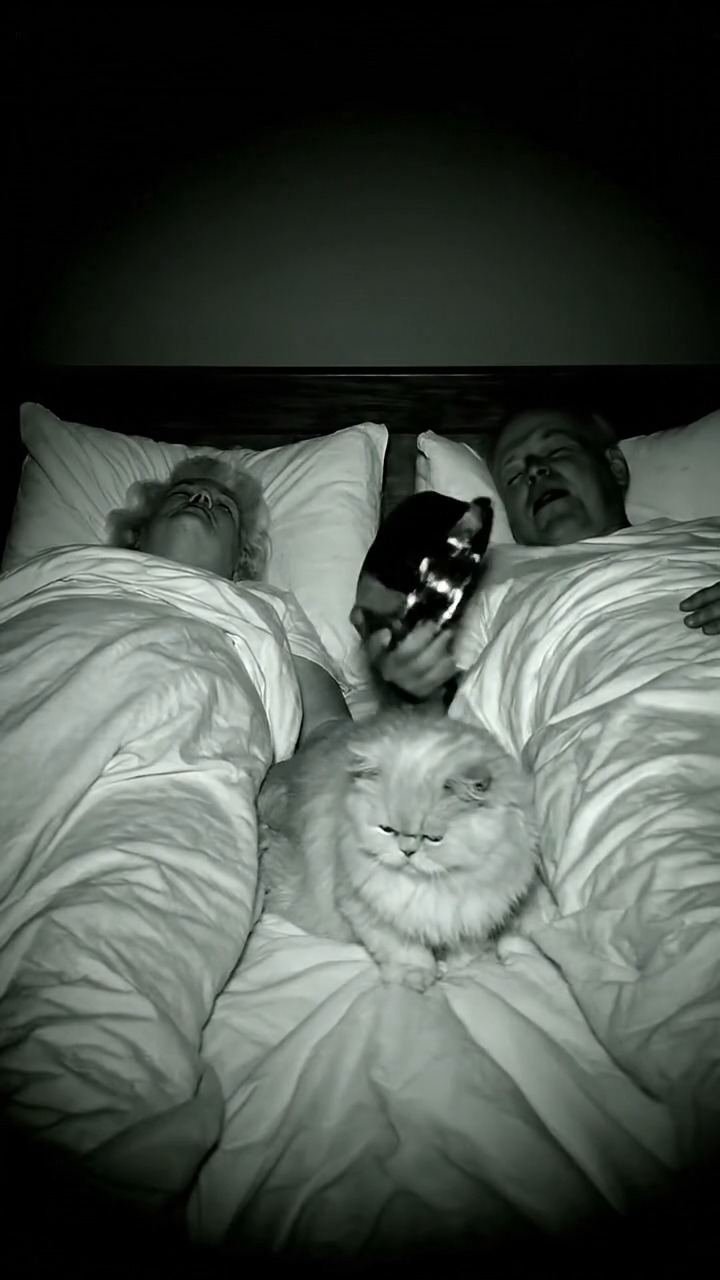 Midnight Madness: Who Made That Noise? 🥣👀 hilarious night vision ...