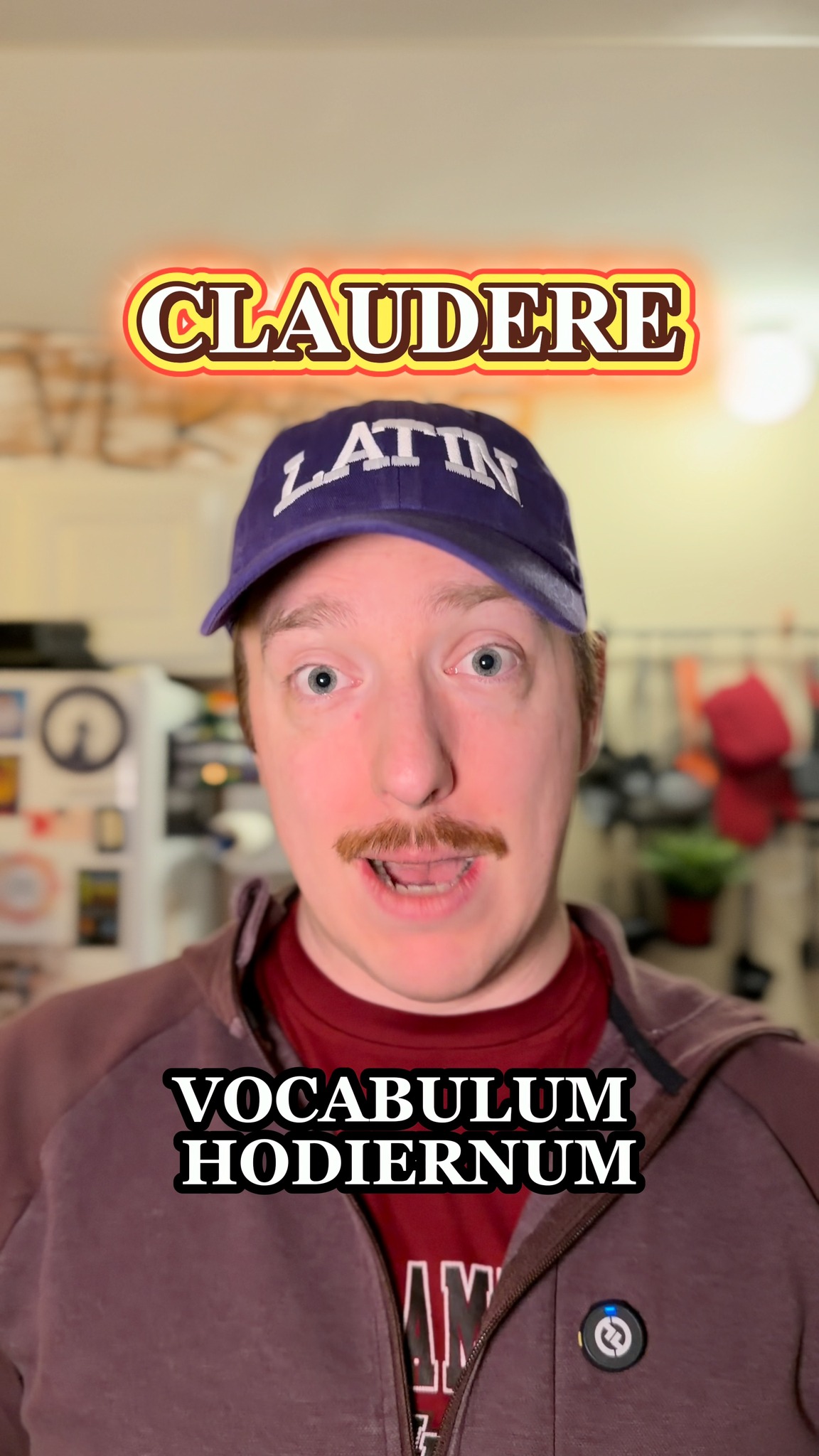 LATIN WORD OF THE DAY — Day 146 1.12.26 Want to learn Latin one word at ...