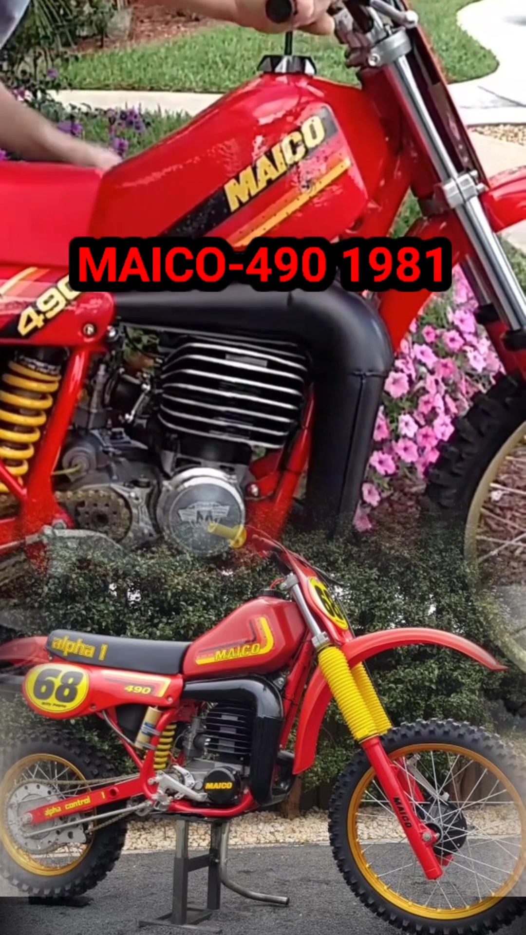 1983 Maico 490 Spider - dirtbikemag 📸