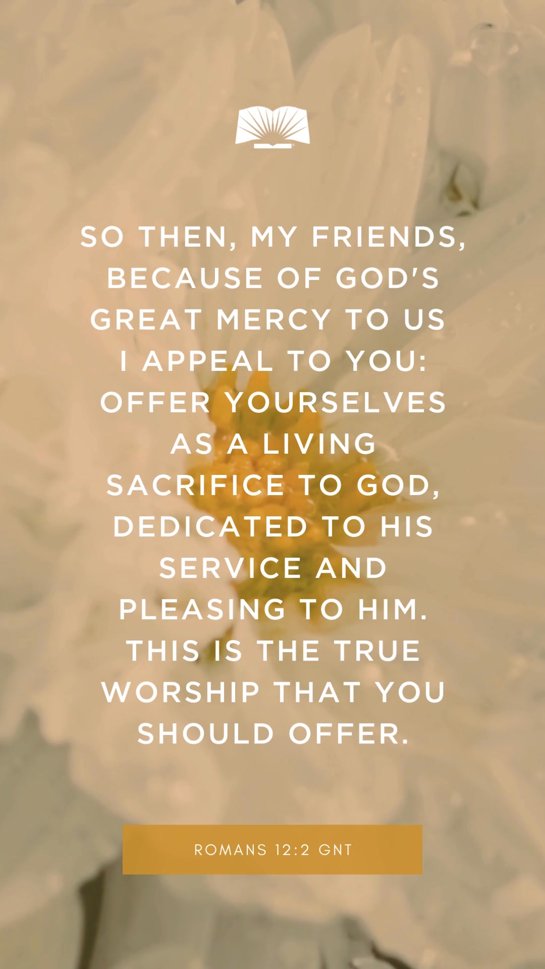 So then, my friends, because of God's great mercy to us I appeal to you ...