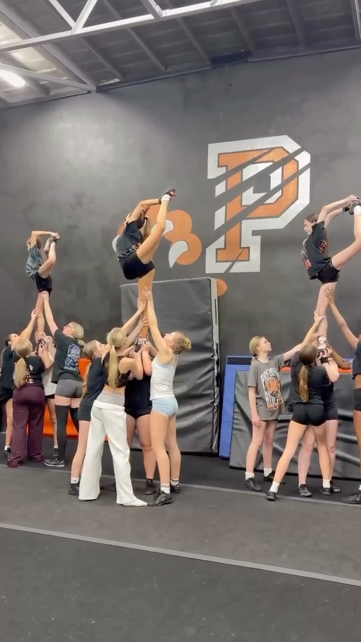 Predator Athletics Cheer | Bristol