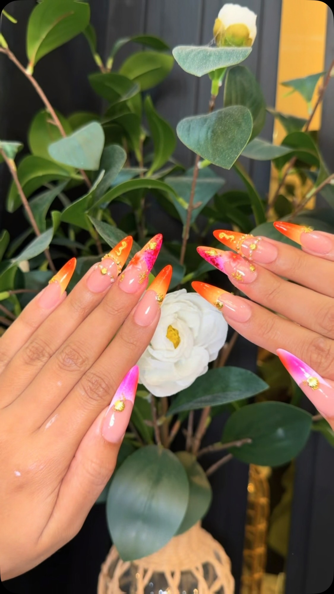 POV: You asked for a summer set… and left with a masterpiece
