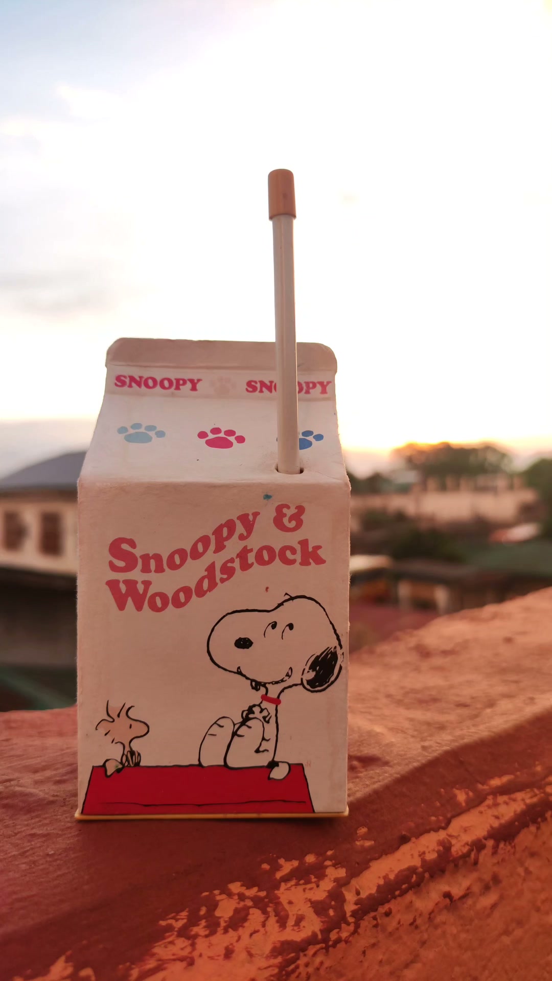 キャラクターグッズ SNOOPY AM/FM Milk Box Radio