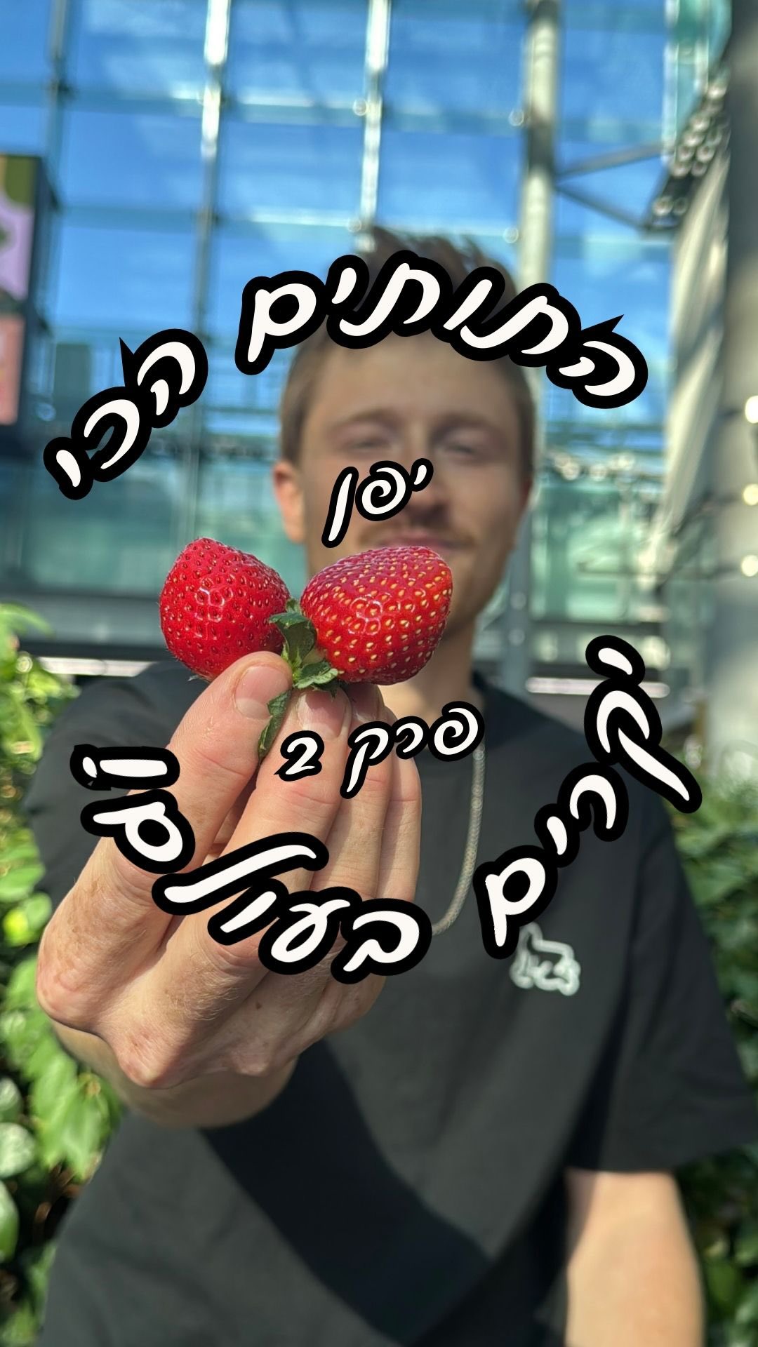אז האם הענבים האלה היו שווה 70 שקלים? מסתבר שפירות ביפן כל כך יקרים כי ...